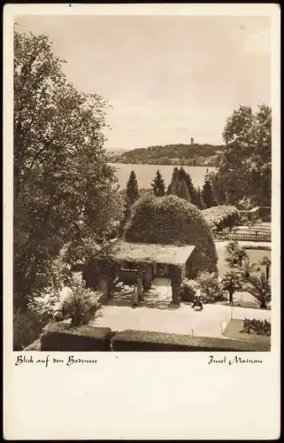 Ansichtskarte Konstanz Insel Mainau Teilansicht mit Bodensee 1964