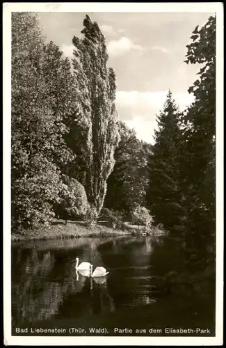 Ansichtskarte Bad Liebenstein Partie aus dem Elisabeth-Park 1939