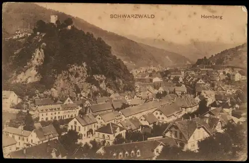 Ansichtskarte Hornberg Panorama-Ansicht 1910/1907