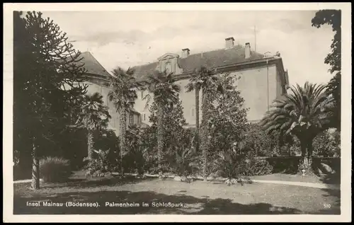 Ansichtskarte Insel Mainau-Konstanz Palmenheim im Schloßpark 1929