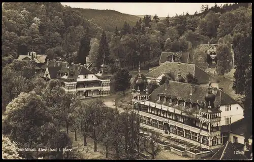 Ansichtskarte Alexisbad-Harzgerode Stadtpartie, Fotokarte 1929