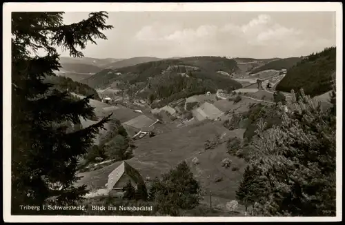 Ansichtskarte Triberg im Schwarzwald Blick ins Nussbachtal 1965