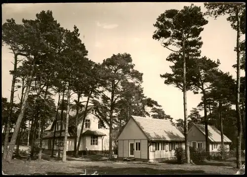 Hiddensee Hiddensjö Ferienheim und Gaststätte Zum Klausner am Dornbusch 1965