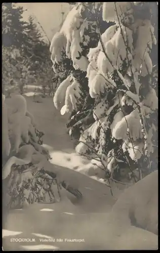 Postcard Stockholm Vinterbild från Fiskartorpet. Winter Fotokunst 1923