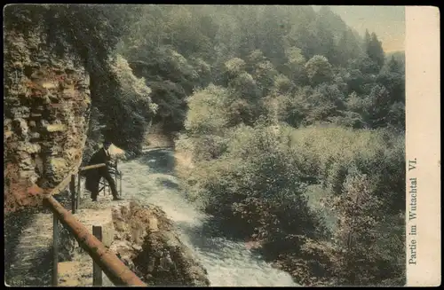 Titisee-Neustadt Partie im Wutachtal VI. Wanderer colorierte AK 1908