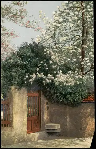 Ansichtskarte  Stimmungsbild: Frühling - Eingangspforte 1916