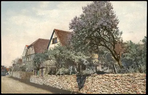 Stimmungsbild: Frühling, Straße Fachwerkhäuser Photochromie 1912