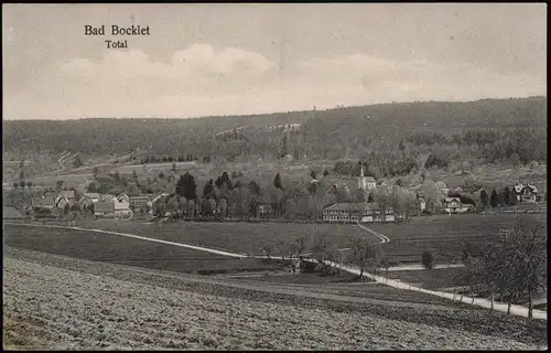 Ansichtskarte Bad Bocklet Weg zur Stadt 1913