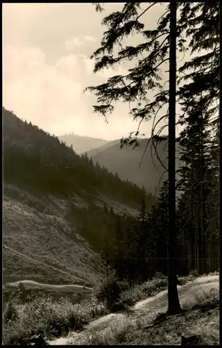 Tabarz/Thüringer Wald Umland-Ansicht Lauchagrund mit Inselsberg 1960