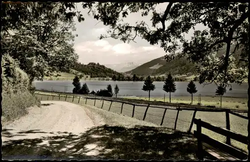 Ansichtskarte Immenstadt (Allgäu) Alpsee bei Bühl, Allgäu 1957