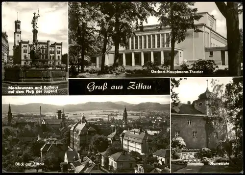 Ansichtskarte Zittau Stadt, Blumenuhr, Markt 1968