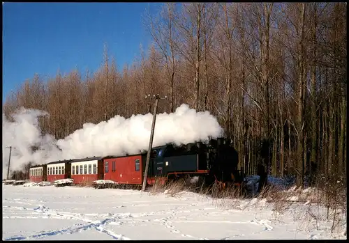 Der „Molli“ Schmalspurbahn Bad Doberan nach Kühlungsborn bei Heiligendamm 1990