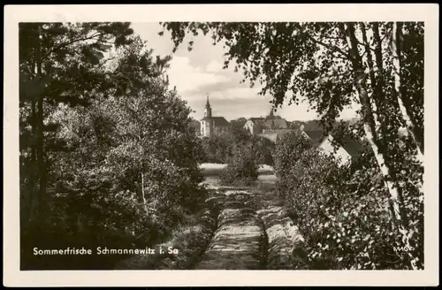 Schmannewitz-Dahlen Panorama-Ansicht Sommerfrische Schmannewitz 1955