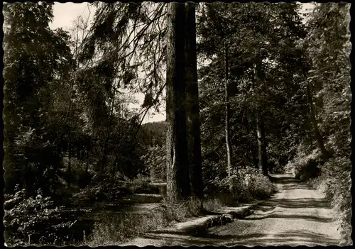 Ansichtskarte .Thüringen Wald Partie im Schwarzatal 1963