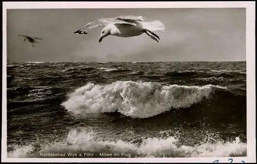 Ansichtskarte Cuxhaven Wellen - Möwe im Flug 1930