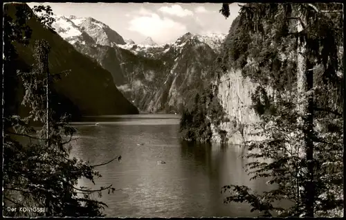 Schönau am Königssee Königssee vom Malerwinkel mit Falkensteinerwand 1959