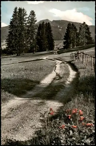 Ansichtskarte .Bayern Bad Oy Allgäu Am Weg zum Moor Blick zur Alpspitze 1964
