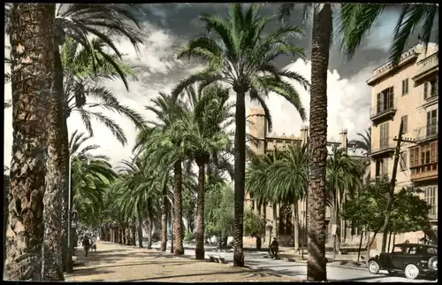 Postales Palma ( de Mallorca) Paseo de Sagrera - Fotocolor AK 1973