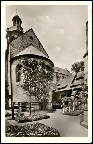 Ansichtskarte Hildesheim 1000-jähriger Rosenstock 1940