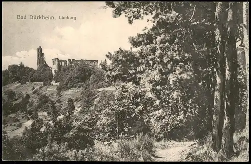 Ansichtskarte Bad Dürkheim Umland-Ansicht mit der Limburg 1910