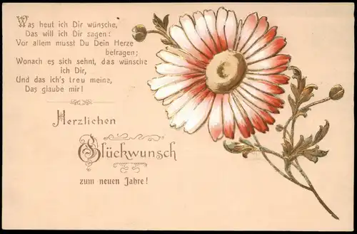 Glückwunsch zum Neuen Jahr Neujahr Sylvester New Year 1900 Prägekarte