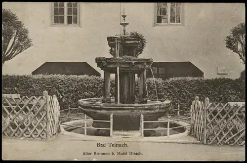 Ansichtskarte Bad Teinach-Zavelstein Alter Brunnen b. Hotel Hirsch 1920