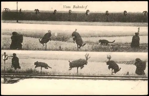 Ansichtskarte  3 Bild: Vom Bahnhof - Bäume in Tierform 1912