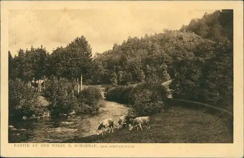 .Baden-Württemberg PARTIE AN DER WIESE B. SCHÖNAU, BAD. SCHWARZWALD 1914