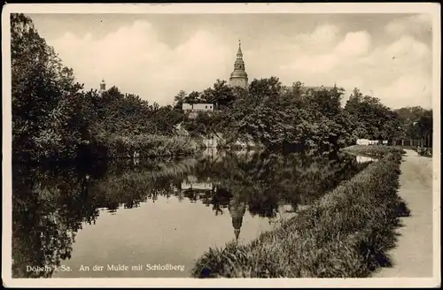 Ansichtskarte Döbeln An der Mulde mit Schloßberg 1940  gel. 1953