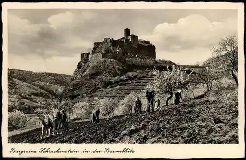 Schreckenstein Elbe Aussig  Ústí nad Labem Burg Schreckenstein Esel Bauern 1931