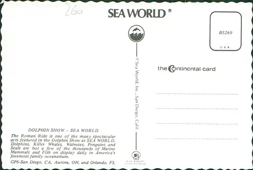 Postcard San Diego DOLPHIN SHOW SEA WORLD 1970