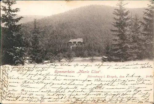 Bärenburg-Altenberg (Erzgebirge)  Sommerheim Marie Elise 1899