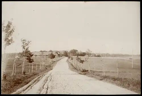 .Russland Rußland Россия Weg zum Dorf 1905 Privatfoto Foto