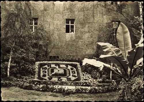 Ansichtskarte Zittau Die Blumenuhr an der Stadtgärtnerei 1957