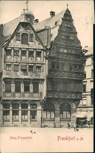 Ansichtskarte Frankfurt am Main Haus Frauenstein 1902  gel. nach Frankreich