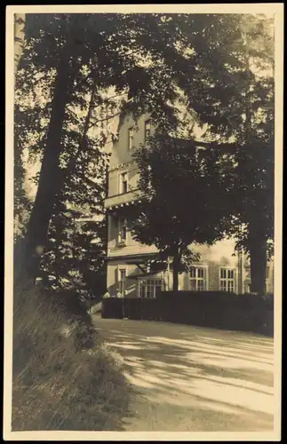 Ansichtskarte Dippoldiswalde Stadtpartie 1956