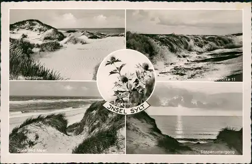 Ansichtskarte Sylt Insel Sylt Mehrbild Dünen, Stranddistel 1957