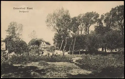 Nest (Pommern) Unieście Dorfpartie, Fichernetze b. Rewahl Rewal 1916