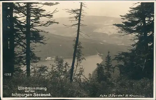 Markt Eisenstein Železná Ruda Waldstimmung schwarze Seewand Böhmen 1928