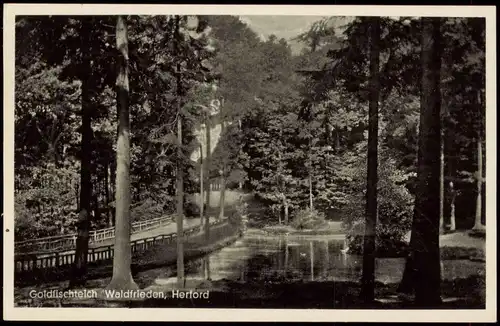 Ansichtskarte Herford Goldfischteich Waldfrieden 1936