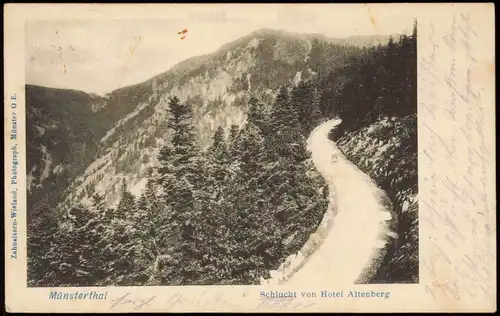 Münster Elsass Munster  Haut-Rhin Münsterthal Schlucht von Hotel Altenberg 1904