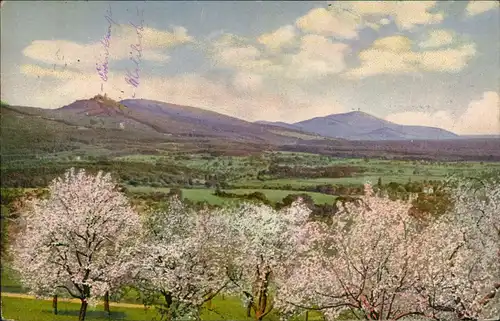 Ansichtskarte Bensheim  Melibokus Stimmungsbild im Frühling 1916  gel. Feldpost