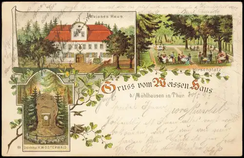 Ansichtskarte Litho AK Mühlhausen (Thüringen) Gruss vom Weissen Haus 1897