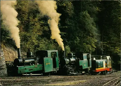 Ansichtskarte  Drei Generationen am Brienzer Rothorn Brienz-Rothorn-Bahn 1980