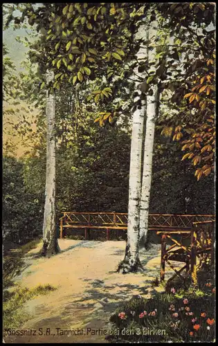 Gößnitz Tannicht, Partie bei den 3 Birken. 1923  gel. Vorinfla 40 M Posthorn