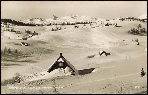 Ramsau am Dachstein TAUPLITZALM, 1650 m geg. Dachstein, 3004 m. 1959