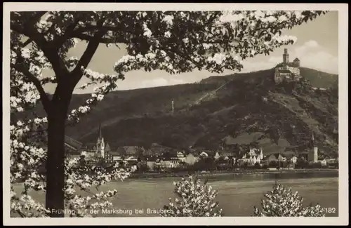 Braubach Marksburg, Rhein Partie, Frühlings-Blüten am Baum 1934