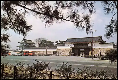 Kyoto Kyōto-shi (京都市) NIJO CASTLE AND PINE TREES KYOTO 1980