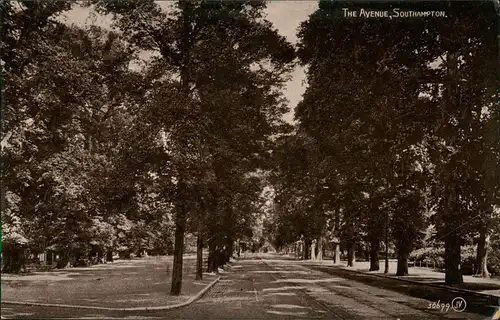 Postcard Southampton THE AVENUE, SOUTHAMPTON, Allee Straße 1920