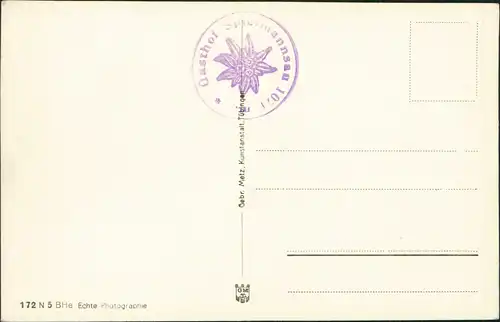 Ansichtskarte Spielmannsau-Oberstdorf (Allgäu) Umland  1930   Gasthof-Stempel